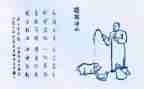 守护生命的演讲稿8篇