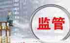 2024年监管工作总结推荐5篇