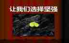 要坚强演讲稿优秀7篇