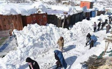 全国防灾减灾日活动心得体会通用6篇