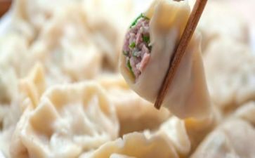 吃饺子的作文参考7篇