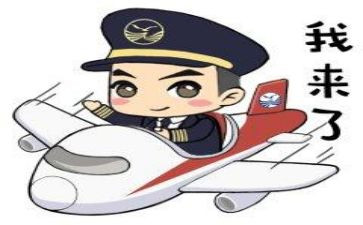 《中国机长》的观后感参考6篇