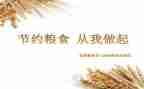 节粮食演讲稿优秀5篇