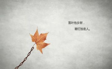 寂寞的作文精选5篇