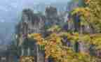 风景类作文800字作文8篇