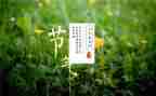 关于节气作文优质5篇