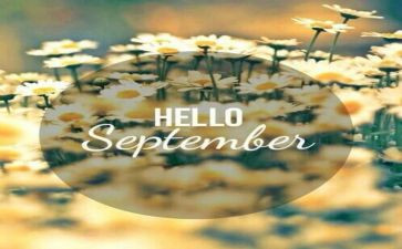 九月九活动方案6篇