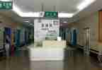 2024急诊护士个人总结范文6篇
