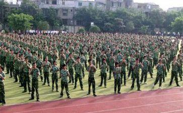 军训前300字心得体会精选8篇