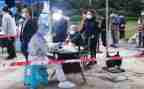 小学生抗击疫情演讲稿6篇