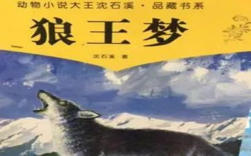 《狼王梦》读后感500字5篇