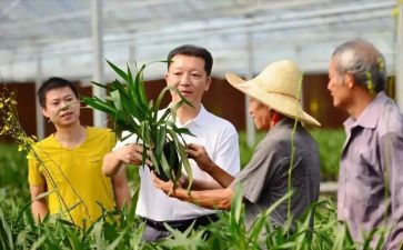 廖俊波事迹心得体会6篇