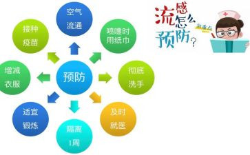 预防流感班会课教案8篇