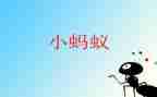 写蚂蚁的作文500字6篇