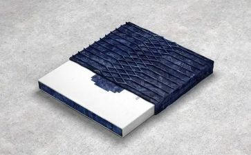 明星800字作文7篇