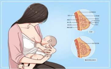 2024母乳喂养周工作总结8篇