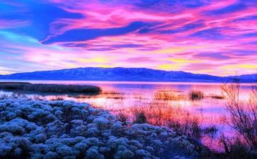 嘉年华活动策划5篇