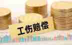 国赔偿申请书优秀7篇