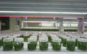 培养孩子的感受心得7篇