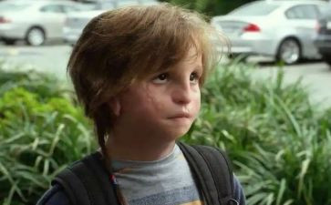 生命奇迹的作文最新6篇