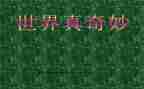 奇妙的画读后感最新8篇