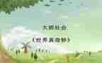 奇妙假期9的读后感6篇