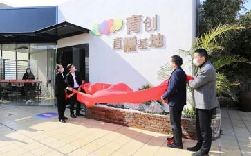 青创协会活动方案策划5篇