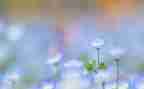 清新的演讲稿7篇