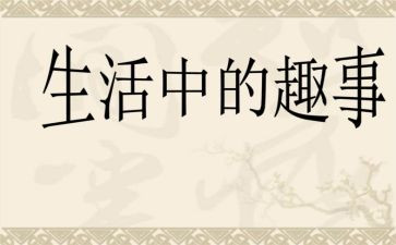 猫的趣事的作文8篇