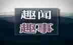 暑假趣事的作文300字7篇