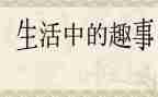 猫的趣事的作文8篇