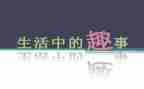暑假趣事八年级作文8篇