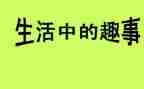 猫的趣事的作文模板8篇