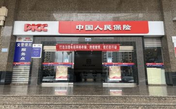 2024年个人保育工作总结7篇