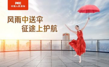 2024年个人保育工作总结参考6篇