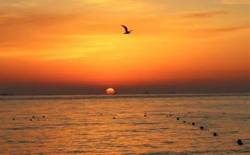 观日出教案最新6篇