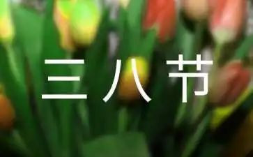 幼儿园三八妇女节活动方案模板8篇
