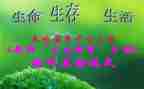过十三生日的演讲稿6篇