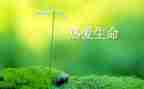 生命教案通用6篇
