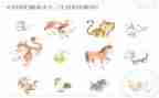 大班十二生肖歌教案精选5篇