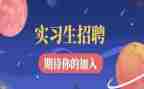 实习体会与总结通用8篇