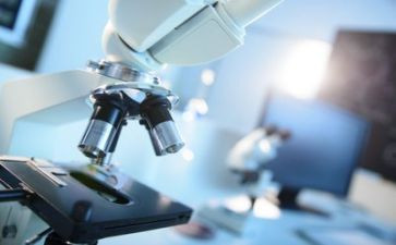 实验室自查报告8篇