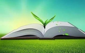 教师双减及五项管理心得体会5篇