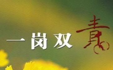 2024一岗双责述职报告5篇