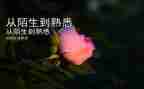 选一个你熟悉的人作文模板7篇