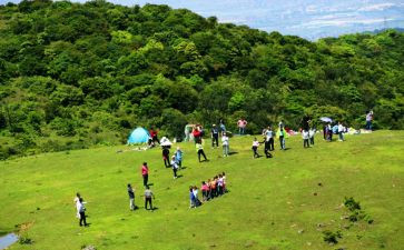 踏青活动总结7篇