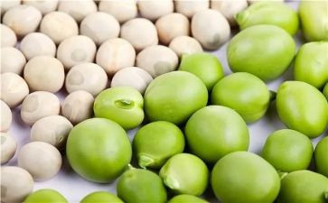 豌豆公主的读后感8篇