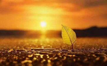 微感悟作文参考8篇