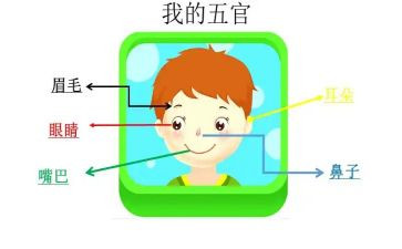 小班五官歌教案最新7篇