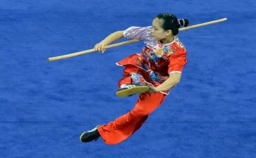 对武术的心得体会5篇